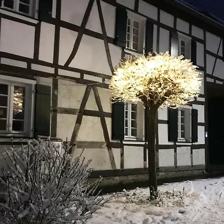 Sonnige Fachwerkwohnung Daire